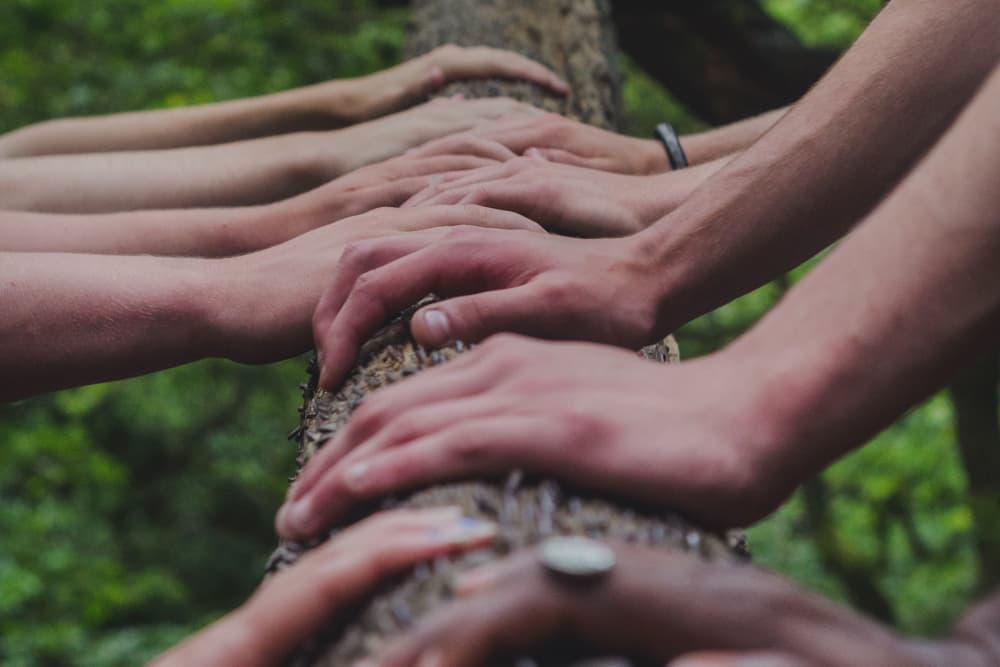 A group of people on either side of a log with their hands on the log