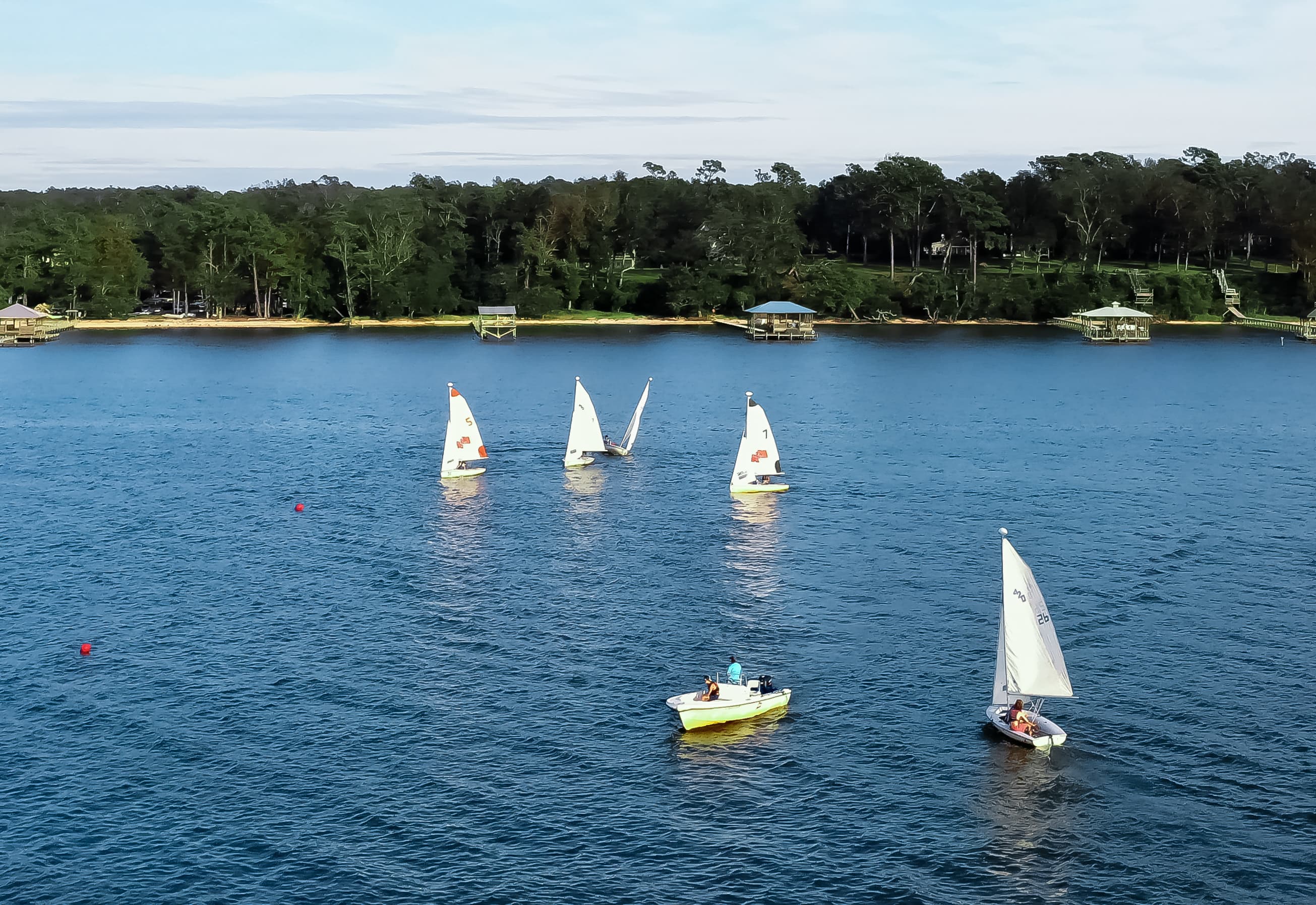 Several sailboats and a small motorboat are sailing on a calm lake surrounded by trees.