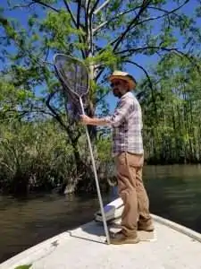 A man stands on a boat in a river, holding a large net near a tree.