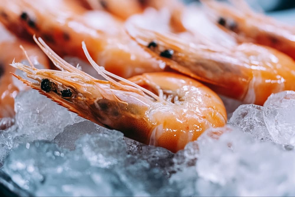 Fresh shrimp on a bed of ice.