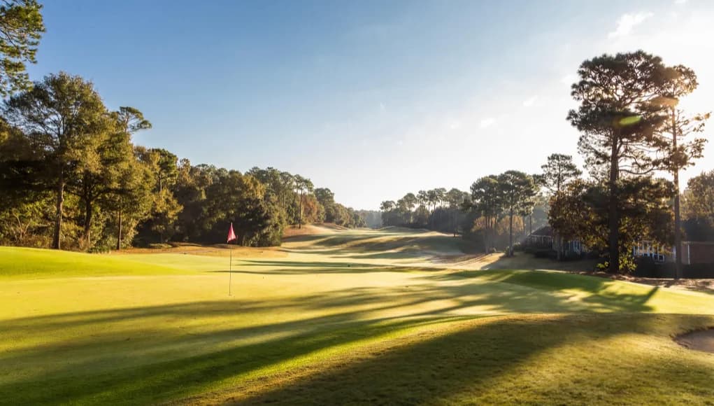 A scenic view of a golf course with a pink flag on the green under a clear blue sky. A scenic view of a golf course with a pink flag on the green under a clear blue sky.
