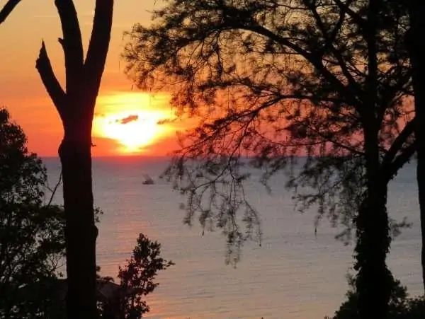 Sunset over calm waters framed by silhouetted trees.