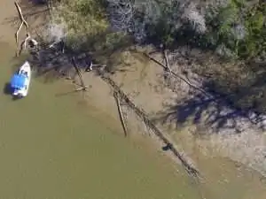 Aerial view of a small boat near a muddy shoreline with scattered logs and trees.