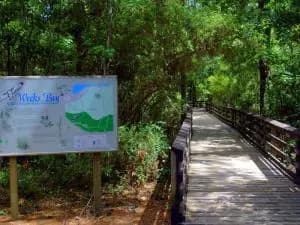 Weeks Bay Reserve in Fairhope, AL