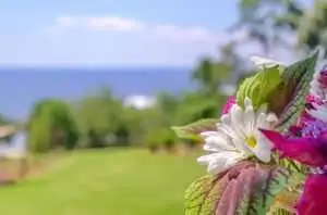 Flowers by Camellia Suite at Jubilee Suites in Fairhope, AL