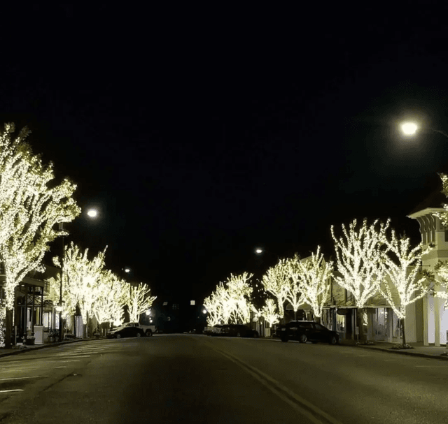 Downtown Fairhope, AL Christmas Lights